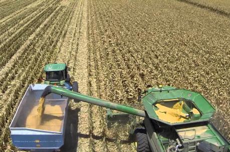 Điểm lại thị trường nông sản tuần qua