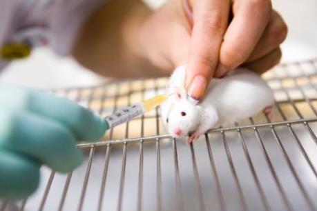 Liệu pháp gien mới mở ra hy vọng cho những người bị khiếm thính