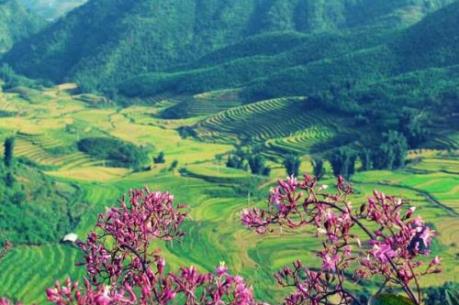 Những điểm du xuân hấp dẫn ở Điện Biên