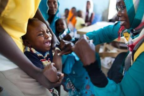 Dịch sốt vàng da diễn biến nghiêm trọng tại Brazil