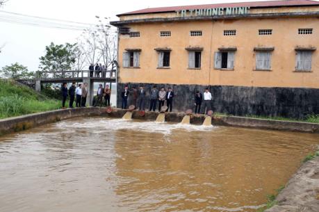 Gần 90% diện tích đã có nước gieo cấy vụ Đông Xuân