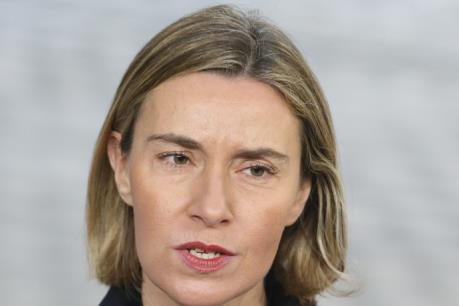 EU ưu tiên tìm tiếng nói chung trong hợp tác song phương với Mỹ