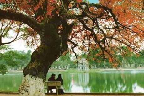 Hiện trạng hệ sinh thái hồ Gươm trước khi cải tạo 