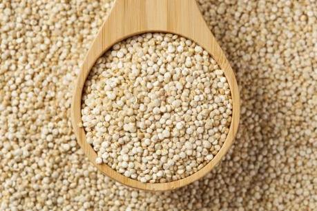 Diêm mạch - chìa khóa cho bài toán an ninh lương thực toàn cầu