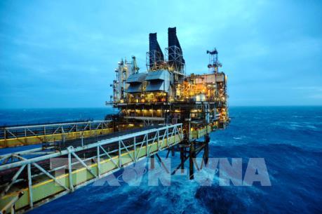 Sản lượng dầu của OPEC tăng mạnh