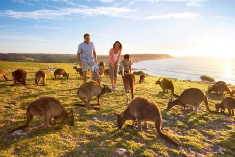 Ngành du lịch Australia làm ăn phát đạt