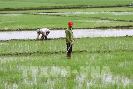 Dự kiến lưu lượng xả nước vụ Đông Xuân ngày mai 11/2