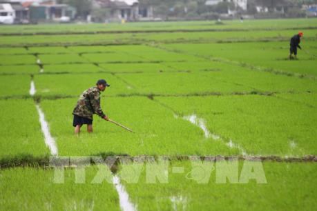 Công ty Tata International Việt Nam tìm cơ hội đầu tư tại Hậu Giang
