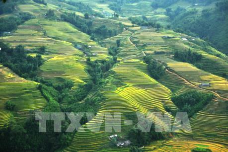 Sẵn sàng cho Lễ khai mạc Năm du lịch Quốc gia Lào Cai - Tây Bắc 2017