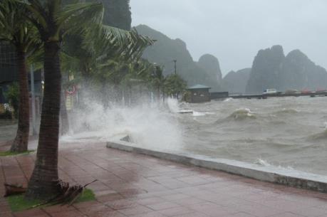 Dự báo thời tiết: Khu vực Bắc và giữa biển Đông có gió Đông Bắc giật cấp 9