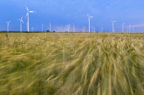 Điện gió - nguồn năng lượng quan trọng thứ 2 tại châu Âu