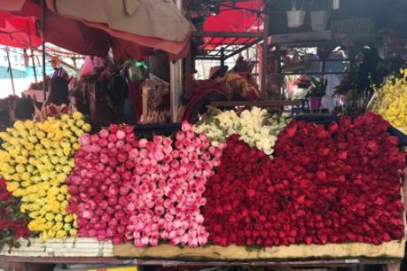 Hoa hồng tăng giá từng giờ ngày Valentine 