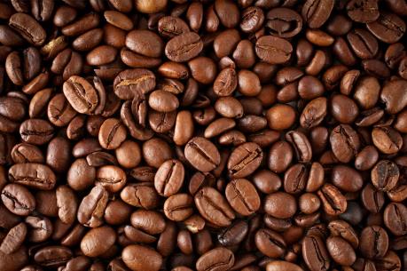 Dự báo giá cà phê tuần từ 13/2 - 18/2