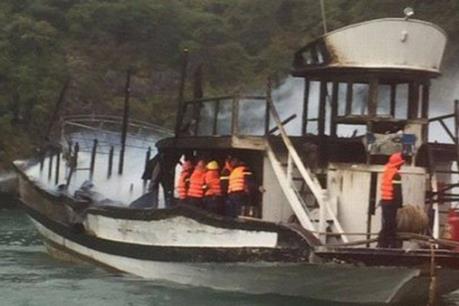 Quảng Ninh tạm dừng hoạt động đội tàu của Công ty TNHH Du thuyền Bhaya Legend