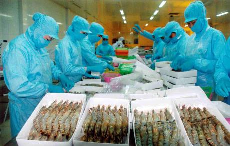 VNH: Lỗ sau thuế 666,4 triệu đồng trong quý IV/2016