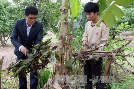 80% đội viên Dự án 600 Phó Chủ tịch xã đã được bố trí làm công chức