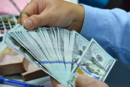 Tỷ giá USD hôm nay 16/2 giảm rất nhẹ