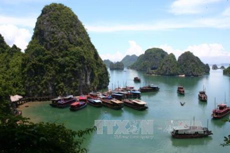 Chấm dứt hoạt động đối với  5 tàu du lịch trên Vịnh Hạ Long