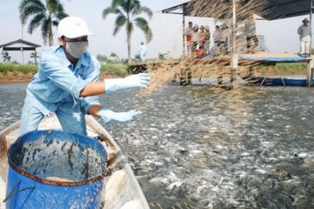  HVG: Bị nhắc nhở chậm nộp BCTN năm 2016