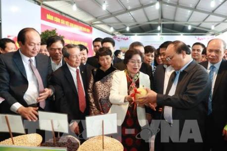 Tạo điều kiện cho nông nghiệp công nghệ cao phát triển