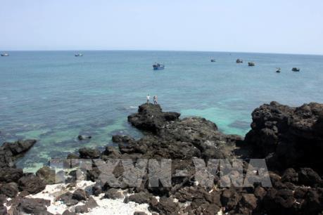 Thành lập Khu bảo tồn biển Lý Sơn, Quảng Ngãi