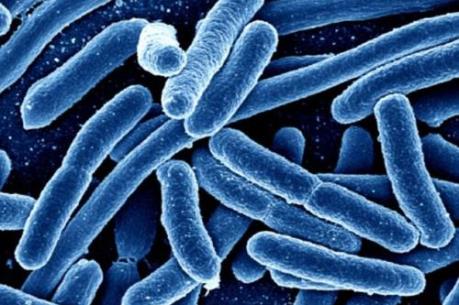 Đã tìm ra nguyên nhân 16 người ở Buôn Ma Thuột bị ngộ độc thực phẩm 