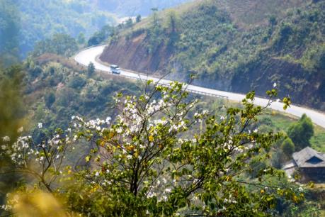 Vùng Tây Bắc chưa nhiều bứt phá