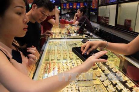 Tái canh cây cà phê ở Tây Nguyên vẫn chậm tiến độ