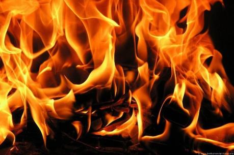 Cháy rừng ở Hải Phòng, phát hiện một thi thể nam giới