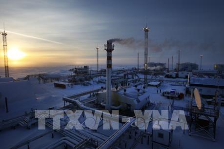 Một tuần ảm đạm với thị trường dầu mỏ thế giới