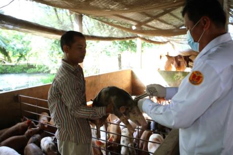 Thái Nguyên giám sát chặt dịch bệnh trên đàn vật nuôi