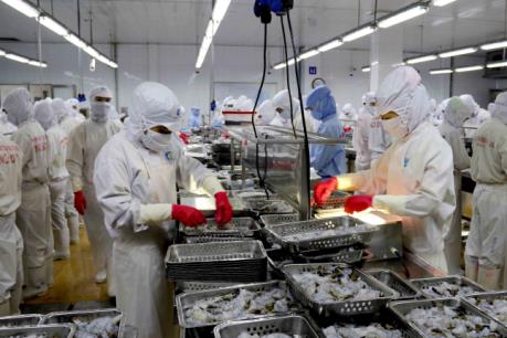 Nguyên liệu khan hiếm, xuất khẩu tôm đối mặt với khó khăn