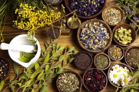 6 sản phẩm chiết xuất thảo dược có công dụng vượt trội cho làn da