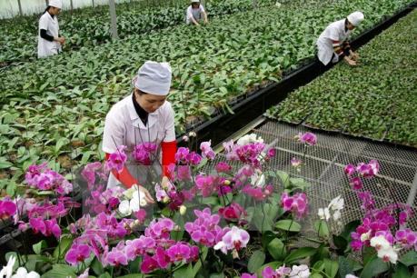 Phó Thủ tướng chỉ đạo thúc đẩy sản xuất nông nghiệp và hỗ trợ dân cư vùng chuyển dân