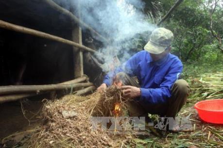 Dự báo thời tiết ngày mai 24/2: Vùng núi cao phía Bắc rét hại