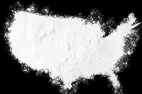 Cảnh sát Hà Lan thu giữ hơn lượng lớn "hàng trắng"