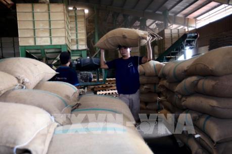 Sớm tháo gỡ những bất cập trong kinh doanh gạo xuất khẩu