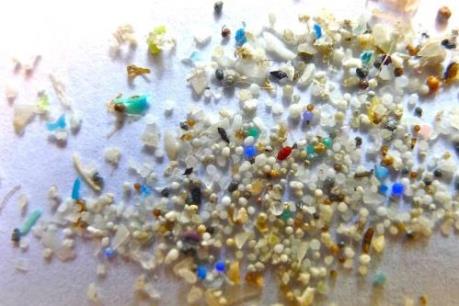 IUCN cảnh báo các đại dương bị ô nhiễm vì hạt nhựa siêu nhỏ