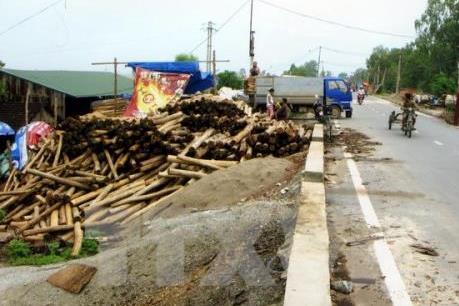  Tồn đọng nhiều vụ vi phạm đê điều chưa được xử lý ở Hà Nội