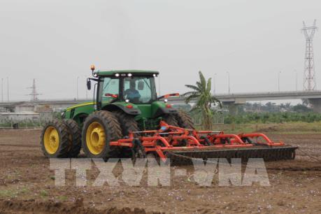 Hưng Yên hướng tới hình thành vùng sản xuất lớn trong nông nghiệp