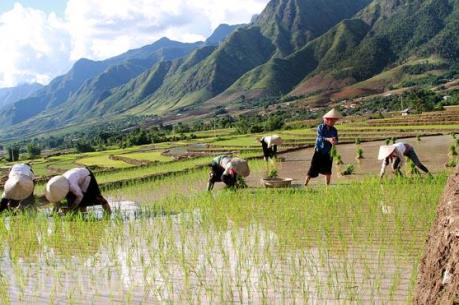 Gán đất nương để vay nợ tiêu dùng