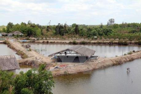 Xây dựng Trung tâm sản xuất tôm giống công nghệ cao tại Trà Vinh