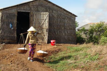 Giá muối tăng khi vào vụ mới