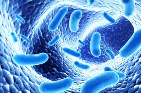 WHO công bố danh sách 12 siêu vi khuẩn đáng lo ngại nhất