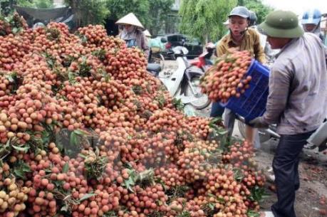 Bắc Giang đề ra nhiều giải pháp phát triển kinh tế - xã hội những tháng cuối năm