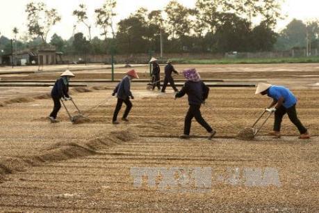 Cà phê đứng đầu danh sách xuất khẩu của Việt Nam sang Algeria