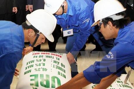 Vinachem trả nợ hộ  doanh nghiệp sản xuất phân bón thua lỗ để tái cơ cấu