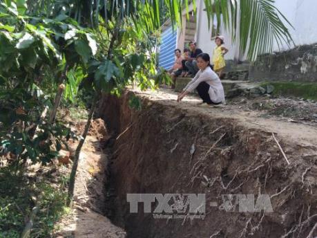 Sạt lở nghiêm trọng ở cù lao Tân Phong, Tiền Giang