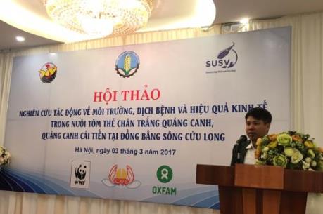 Nuôi tôm thẻ chân trắng có đem lại hiệu quả kinh tế ?