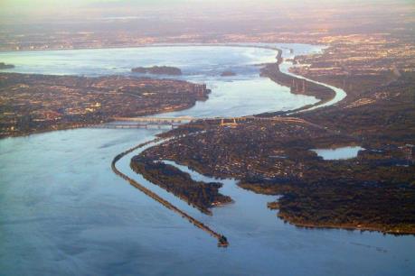 Loài cá chép châu Á đe dọa cuộc sống của các sinh vật thủy sinh ở Canada và Mỹ